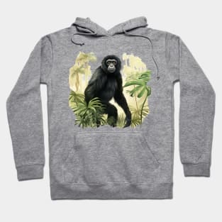 Siamang Hoodie